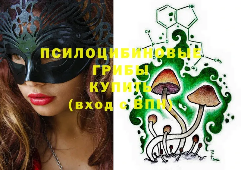 Галлюциногенные грибы MAGIC MUSHROOMS  Лихославль 